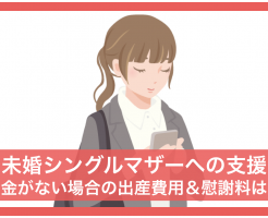 未婚シングルマザー 支援 お金がない 出産費用 慰謝料